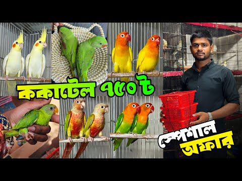 যে অফা'র কেউ কিদেনা | ককাটেল ৭৫০ টা'কা | চন্দনা, কনুর, লাভবার্ডেও রয়েছে স্পে'শাল ছাড়। 27 Jan 2025