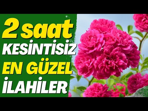 2 SAAT KESİNTİSİZ EN GÜZEL İLAHİLER SİZLERLE | HASRET KALDIM MEDİNE'YE #ilahi #engüzelilahiler