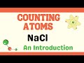 Counting Atoms in Chemical Formulas