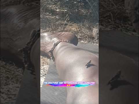 While Sunbathing, the creatures keep on coming!🤭😆😄🦗😌🌞 #creatures #cricket #sunbathing
