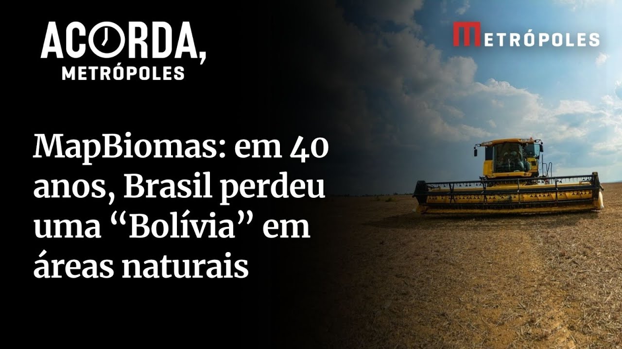 Em 40 anos Brasil perdeu uma Bolívia em áreas naturais segundo porta voz do MapBiomas