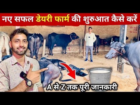 शुरुआत से लेकर पैसें कमाने तक || How to start a successful dairy farm business in India