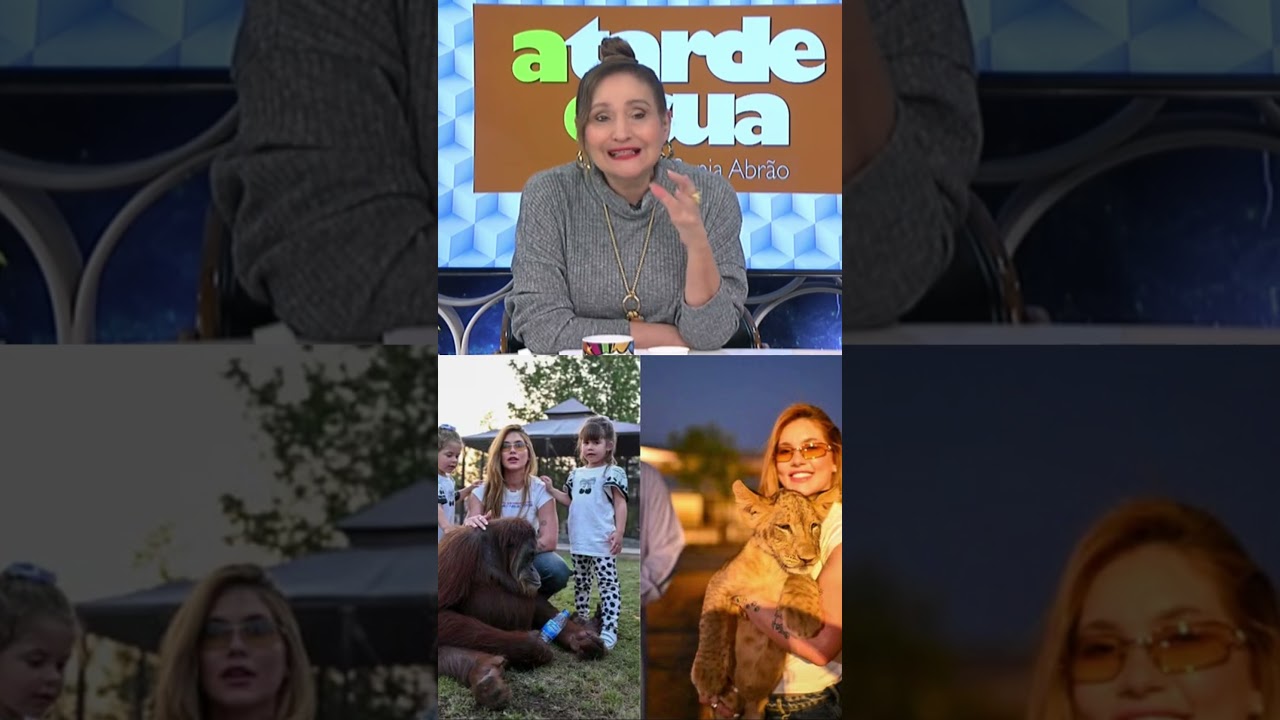 Virginia curte zoológico Eu não gosto mas esse parece ser mais livre diz Sonia Abrão