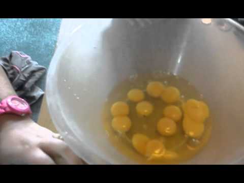 Egg box containing 29 double-yolk eggs