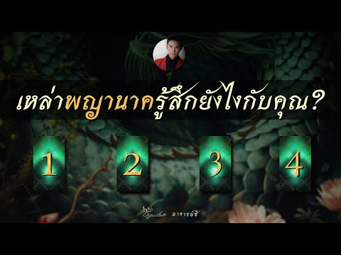 เลือกไพ่🕯️เหล่านาคราชท่านชี้นำสิ่งใดแก่คุณByอ.ซี