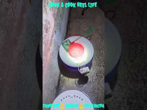 Alora realty group INC. video thumbnail