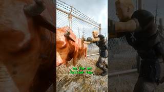 A Hidden Way to Handle Cows in Fallout 3
