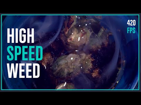 ASMR: Shatter Melt at 420FPS