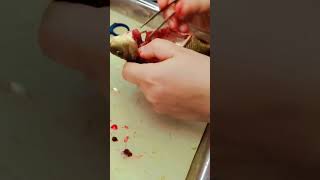 Dissection of fish to study the internal organs #departmentofzoology