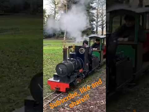 "Sapphire" Steam loco at Grosvenor Park Miniature Railway (Loco Credit: Pugneys Light Railway)
