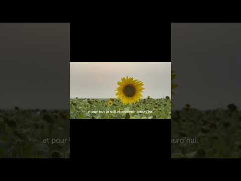 Voici comment prier à 6h du matin pour changer ta journée !#prière #jesus #louange