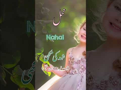 Blessed & Direct Quranic Girls Name With Meaning || Quran Kareem Se Ladkiyon K Naam 2026