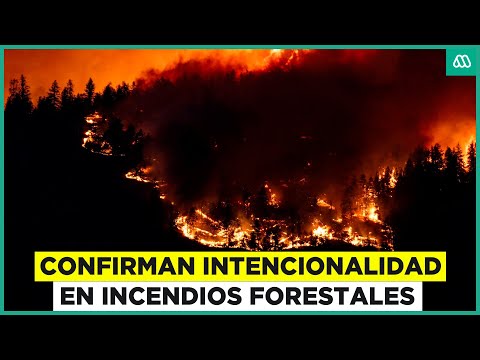 CONAF confirma intencionalidad en incendios forestales