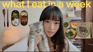 WHAT I EAT IN A BUSY WEEK | realistic days, high protein bento box, food diaries