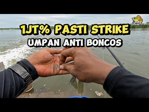 UMPAN DAMAGE NYA 1MILLYAR PASTI STRIKE... INI UMPAN DASARAN SEJUTA UMAT...