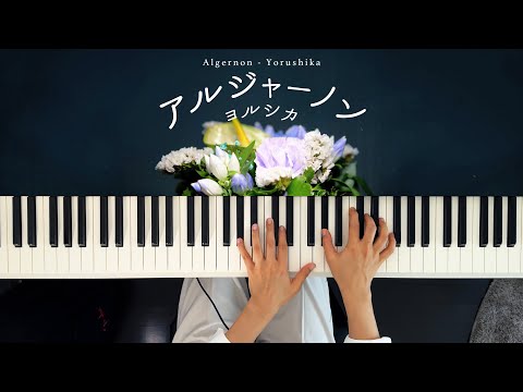 アルジャーノン - ヨルシカ (Piano Cover)