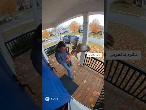 #هجوم #صقر #علي #طفل 😱 #صقور #في #تيك_توك #فيسبوك #انستقرام #انستا #انستغرام #يوتيوب #واتساب #تلجرام