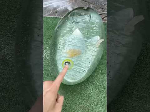 Inflating a Goldfish!💥