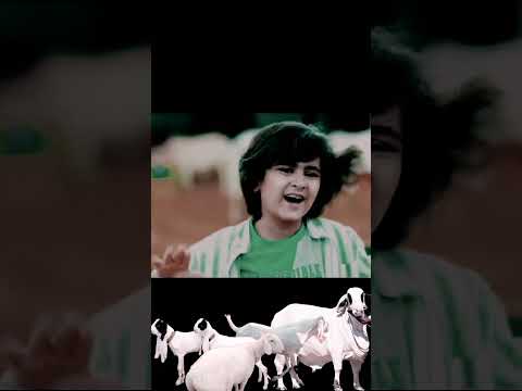 #eiduladha2024song #cowvideos #cow #bakraeidlover