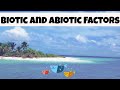Understanding Biotic and Abiotic Factors in Ecosystems