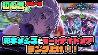 【 #シャドバWB 】🔰初心者ルビー帯 ❕卵ネメシス＆モードナイトメアでランク #ぎんかいおんえあ 【銀灰まお/ハコネクト】