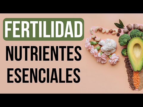 🍓Nutrientes esenciales para la fertilidad🤰🏼[CLAVE PARA EL ÉXITO REPRODUCTIVO] Marta Alonso