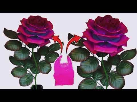 DIY Tutorial cara membuat Bunga Mawar dari Plastik Kresek | How to make Rose Flower from Plastic Bag