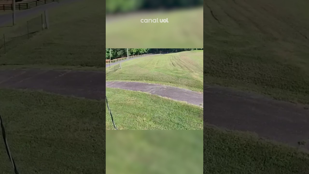 Avião capota ao tentar pousar em jardim nos EUA; veja vídeo