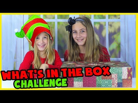 WHAT'S IN A BOX CHALLENGE! CHRISTMAS EDITION