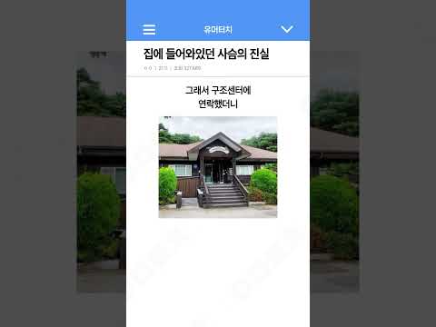 집에 들어와있던 사슴의 진실