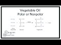 Interactions and Properties of Triglycerides