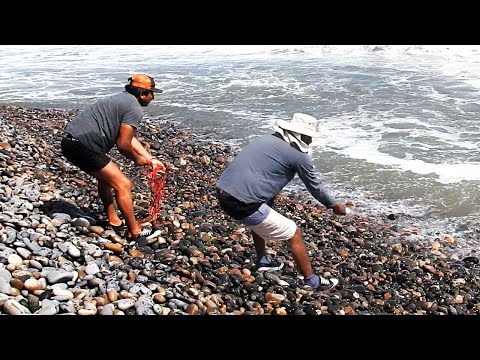Increíble regalo del mar… ¡Mira la pesca que sacaron!