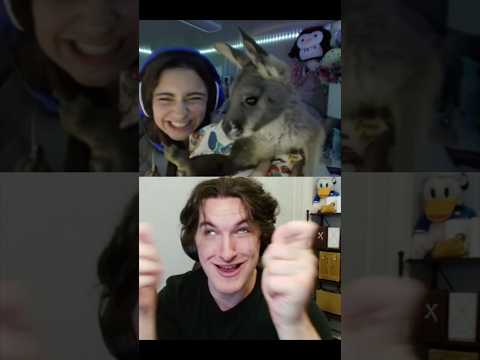 How She Have A Kangaroo? #shorts