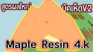 สูตรบัคเห็ดผลใหญ่ V.2!! ทำผลที่แพงกว่า Bone Blossom ให้ได้ 4000ล้าน | Roblox Grow a Garden