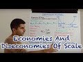 Economies of Scale Concepts