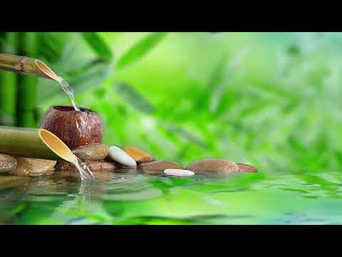 Relaxing Music for Sleeping • Deep Sleep Music, Relaxing Music, Stress Relief, Meditation Music