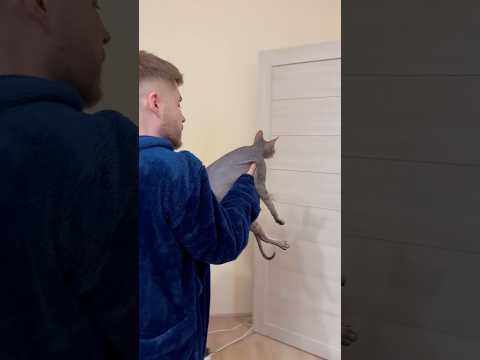 Как мы купаем Шубу