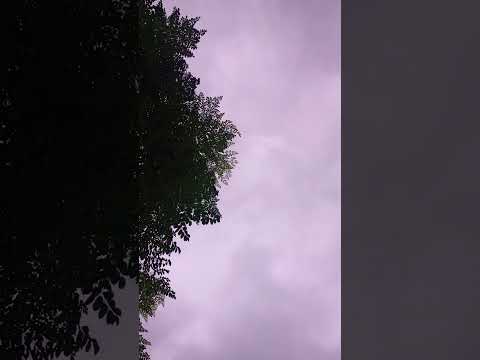 বিকেলের আবহাওয়াটা মেঘলা ছিল #subscribe #shortvideo #vairalshort