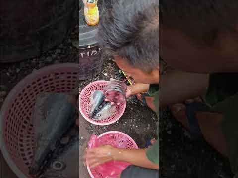 Beli Ikan Tongkol di Pasar Untuk Masak Resep Ikan Tongkol Suwir Kemangi