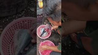 Beli Ikan Tongkol di Pasar Untuk Masak Resep Ikan Tongkol Suwir Kemangi