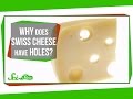 Understanding Swiss Cheese Holes