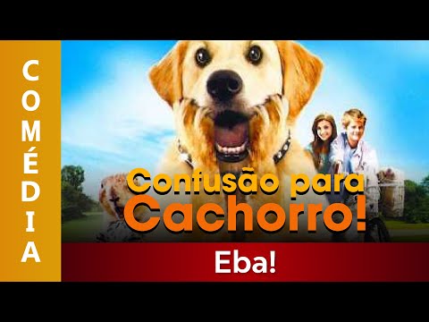 Confusão para Cachorro - Filme Dublado Completo