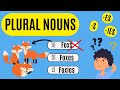Understanding Plural Nouns and Rules
