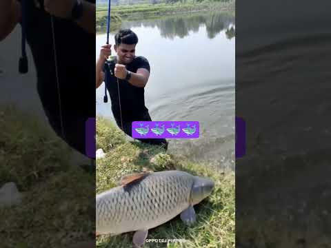 wow kya fish hai yaar 😀😀😀 #fishingvideo
