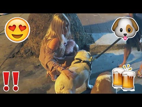 DOGS AND ALCOHOL ?? Vlog 408