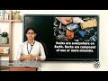 Earth's Layers and Magma Concepts