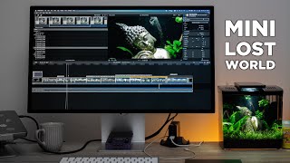 Super Tiny Lost World Shrimp Aquarium on My Desk | Tutorial