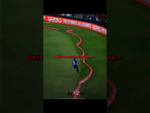 The Boundary Line 👀☠️