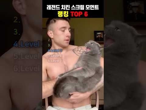 레전드 <strong>치킨</strong> 스크림 모먼트14