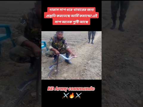 আর্মি কমান্ডো দারাস সাপ ধরে খাওয়ার জন্য প্রস্তুতি করছে,পুষ্টিকর খাবার।⚔️🔥#army #shorts #armylover